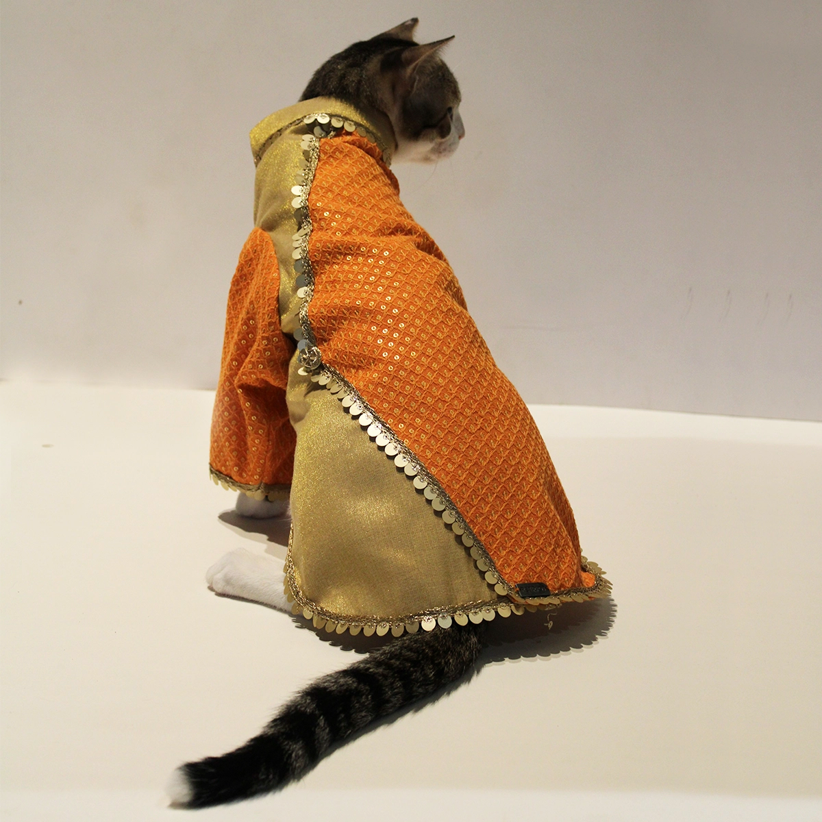 Dual Tone(Cat)