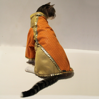 Dual Tone(Cat)