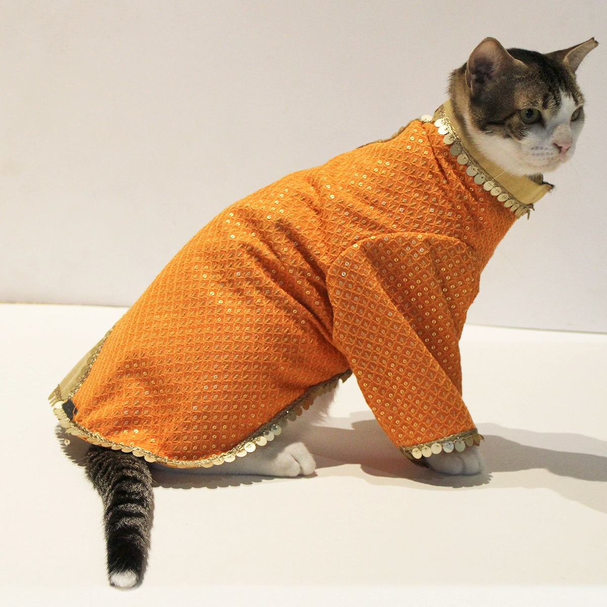 Dual Tone(Cat)