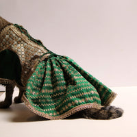 Emerald & Gold(Cat)