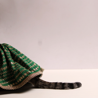 Emerald & Gold(Cat)