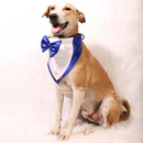 Gentleman Blue(Dog)