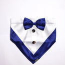 Gentleman Blue(Dog)