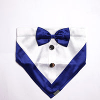 Gentleman Blue(Dog)