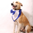 Gentleman Blue(Dog)
