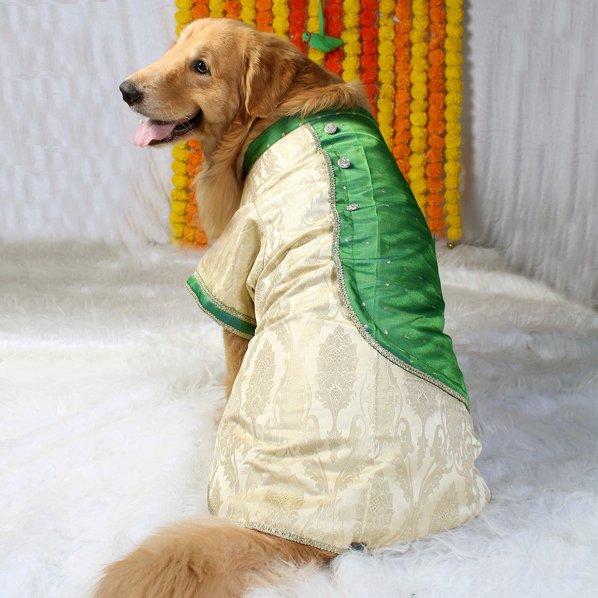 Greeny Gold (Dog)