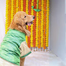 Greeny Gold (Dog)