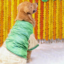 Greeny Gold (Dog)