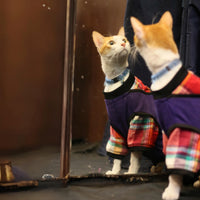 Joker Tee(Cat)
