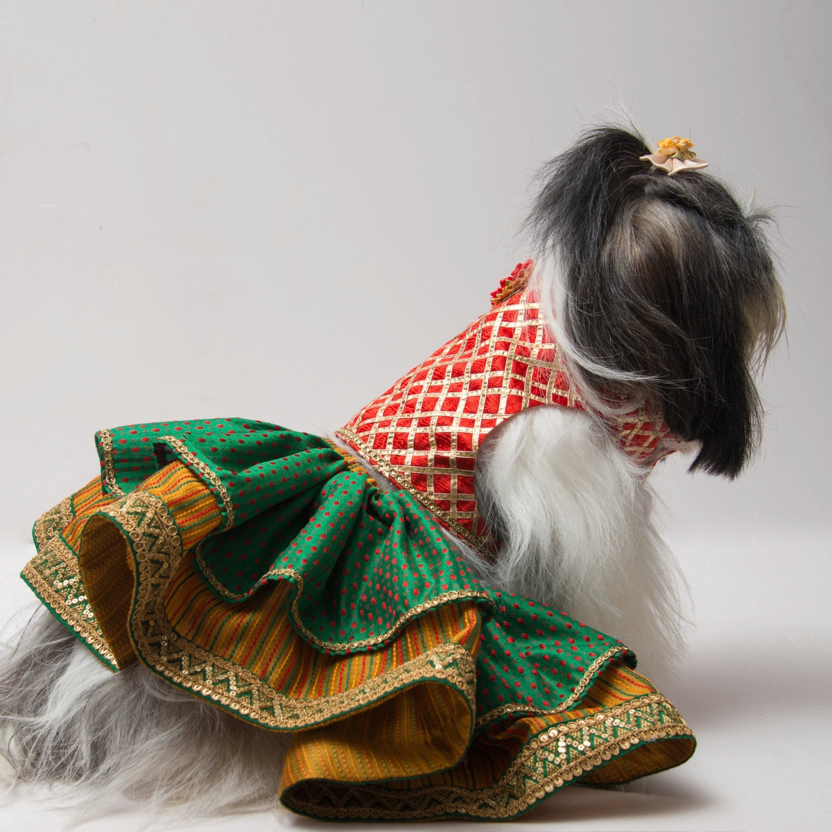 Maharani (Dog)