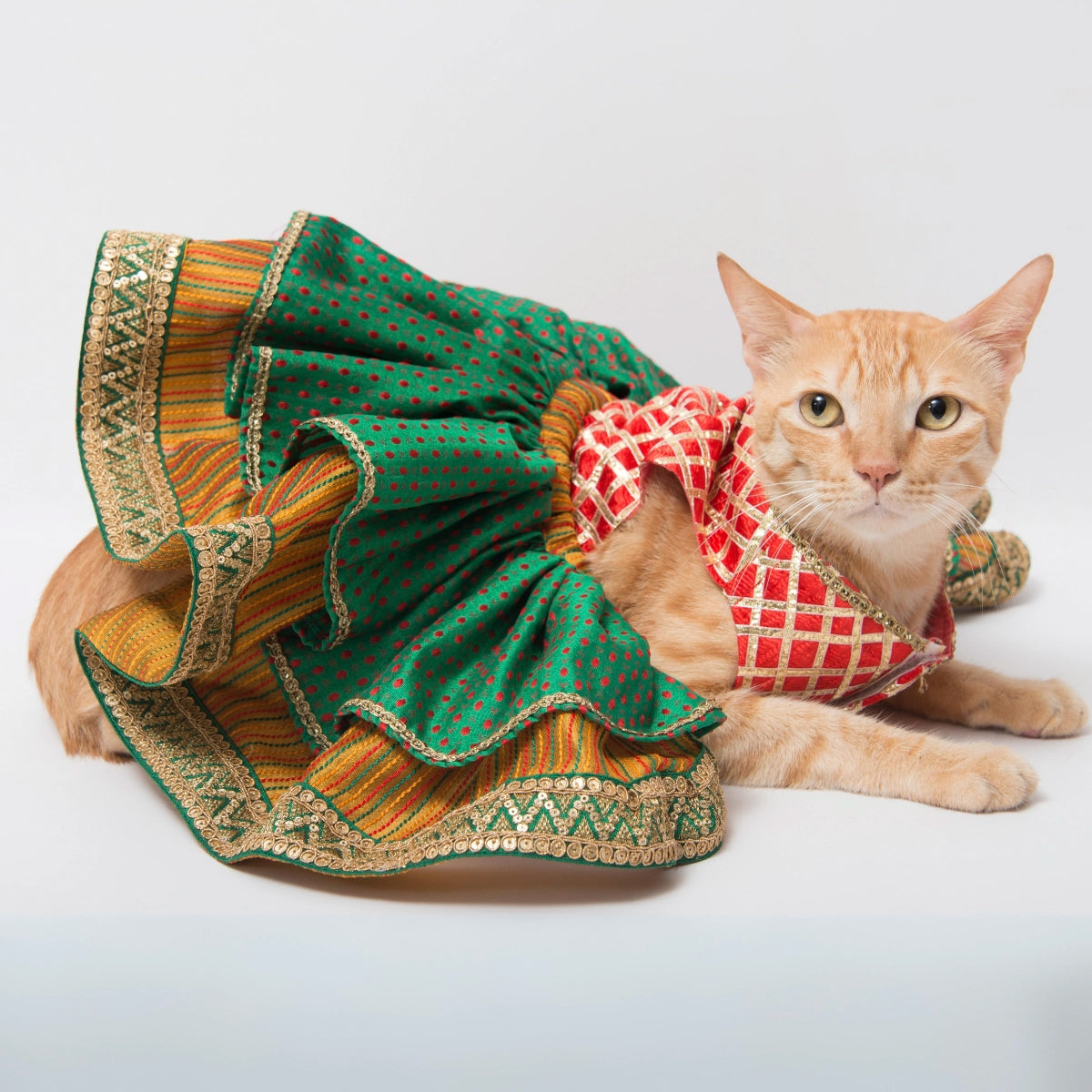 Maharani (Cat)
