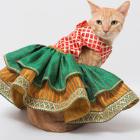 Maharani (Cat)
