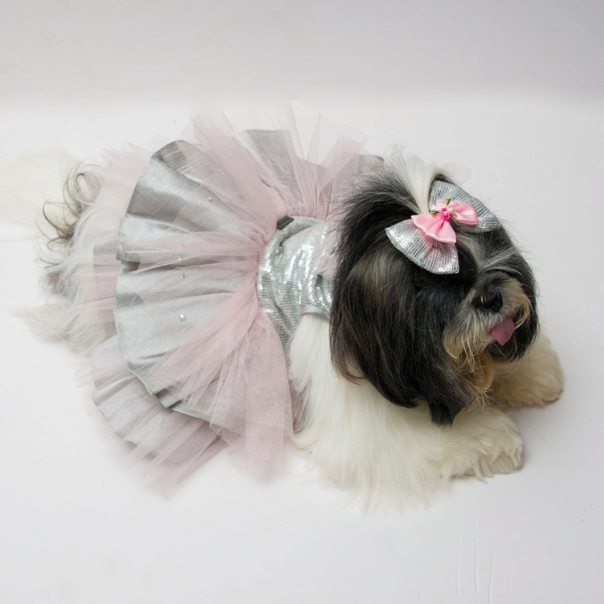 Meta-li-ca(Dog)