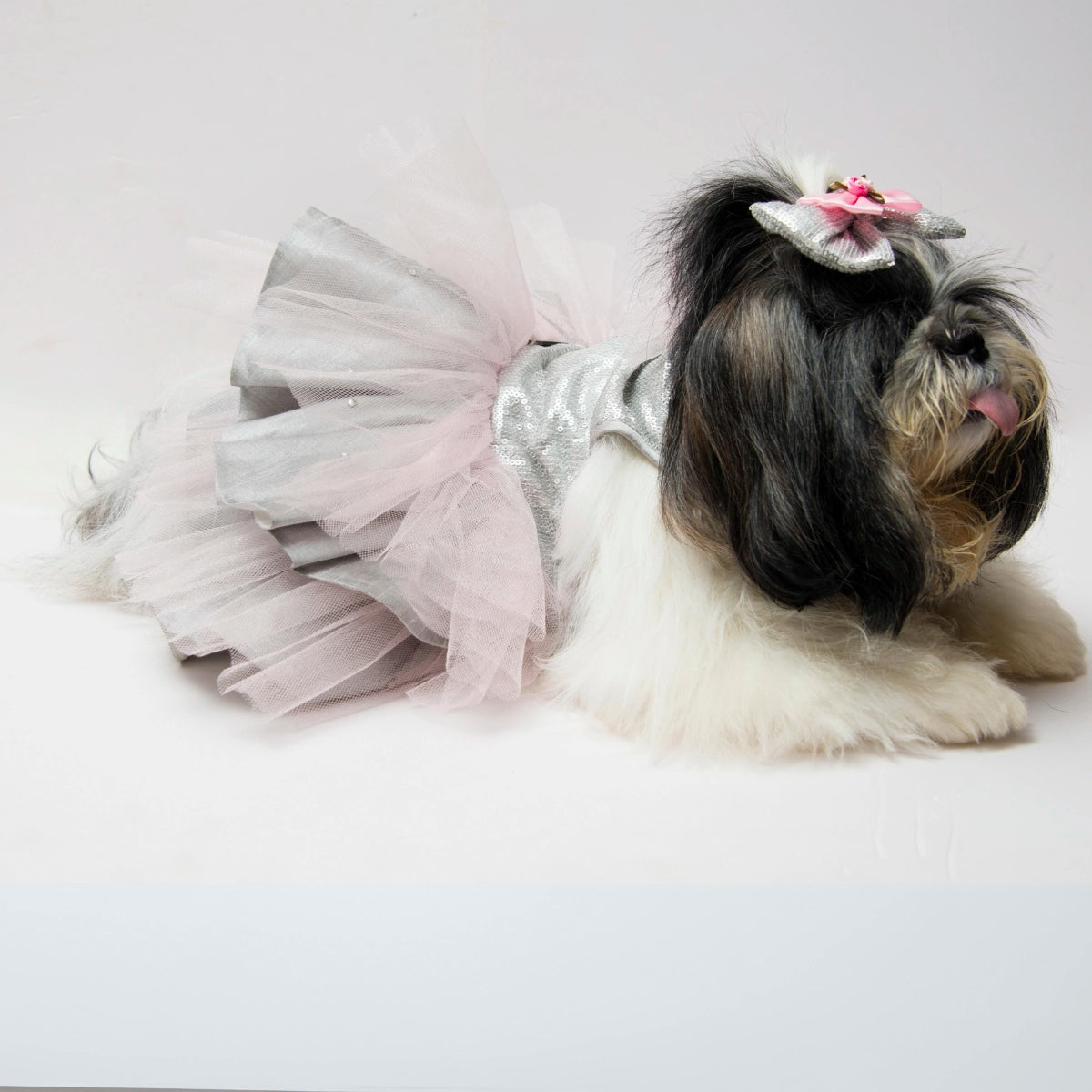 Meta-li-ca(Dog)
