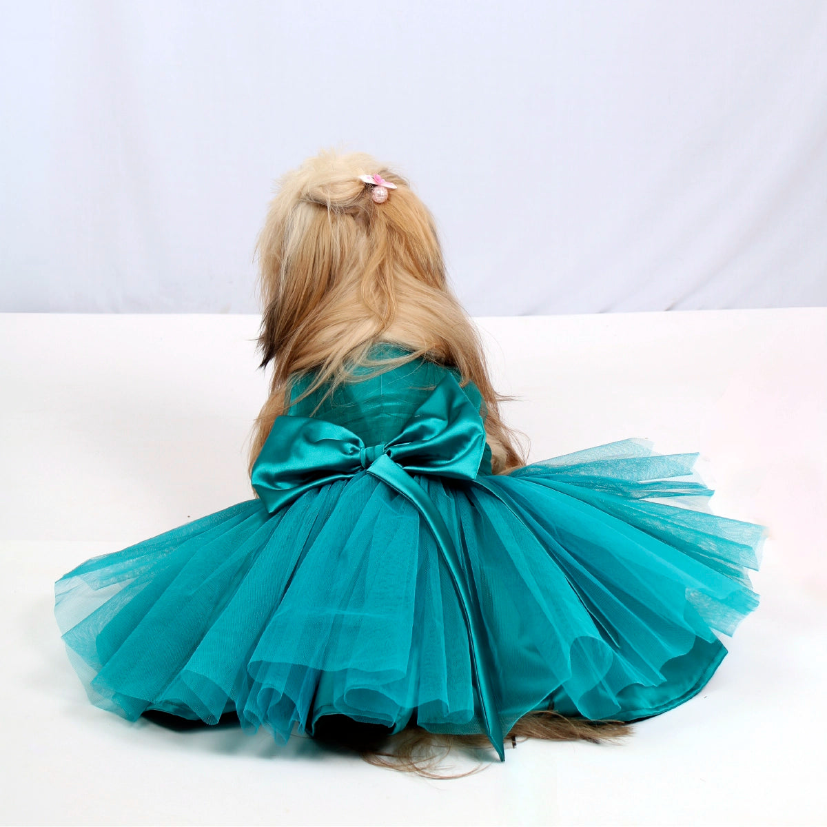 Met Gala Teal(Dog)