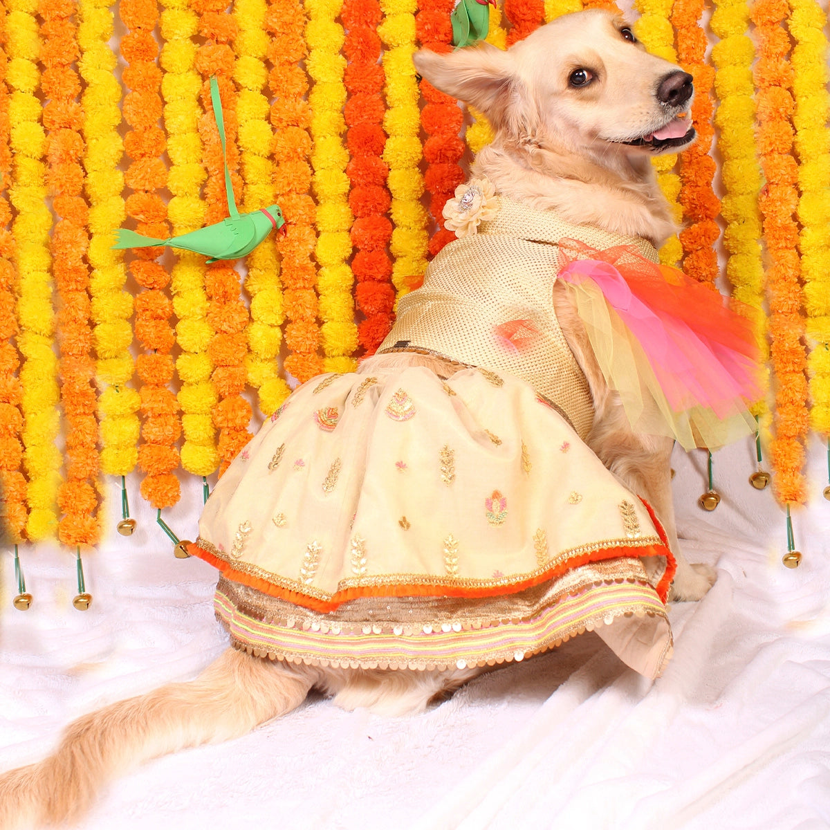 Neon Gold(Dog)