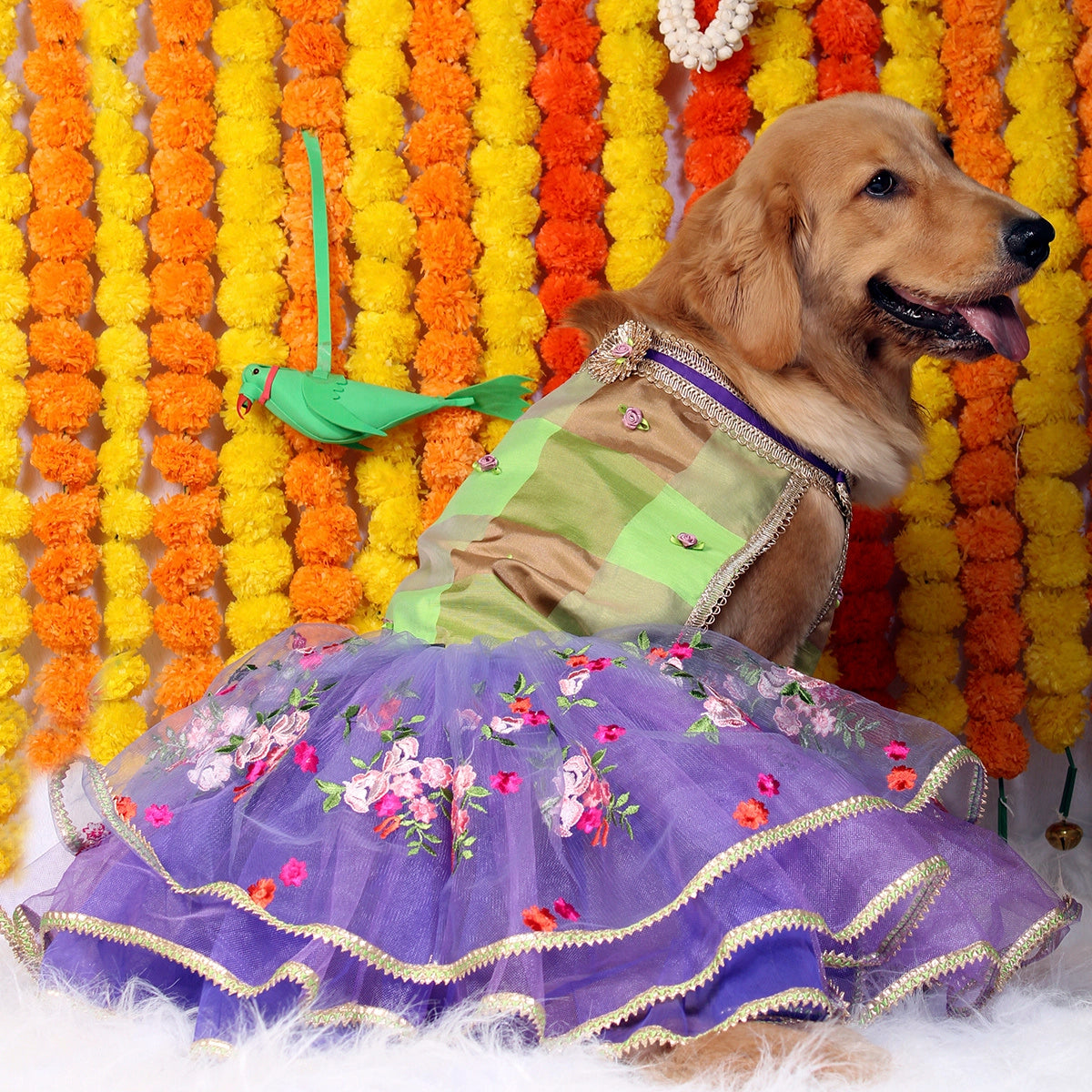 Neon Purple(Dog)