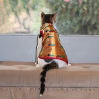 Paithani Love(Cat)