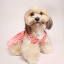 Peach Bordier(Dog)