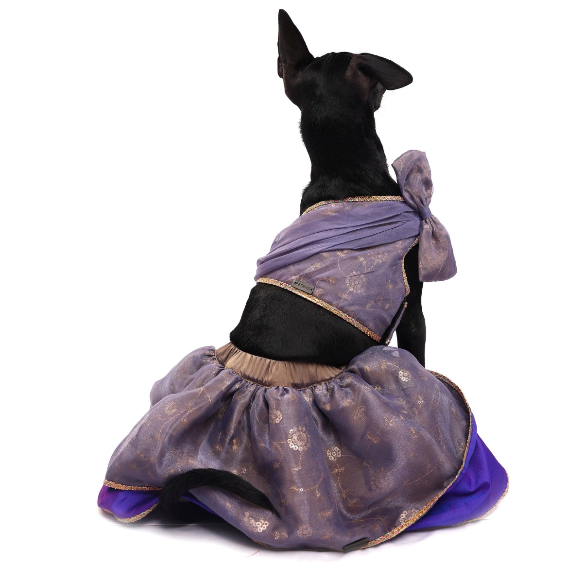 Peri Winkle(Dog)