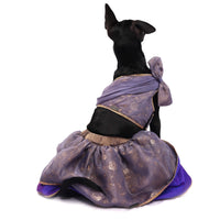 Peri Winkle(Dog)