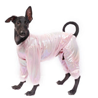 White Euphoria(Dog)