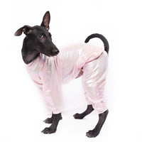 White Euphoria(Dog)