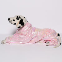 White Euphoria(Dog)