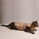 Pink Jamyawar (Cat)