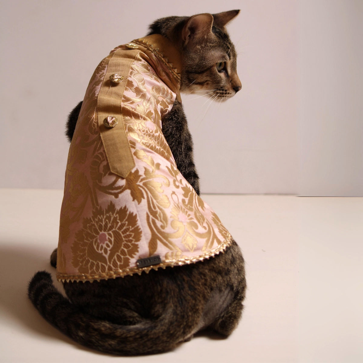 Pink Jamyawar (Cat)
