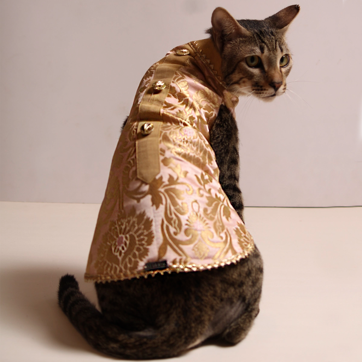 Pink Jamyawar (Cat)