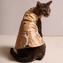 Pink Jamyawar (Cat)