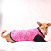 Pink Lace Tee (Dog)