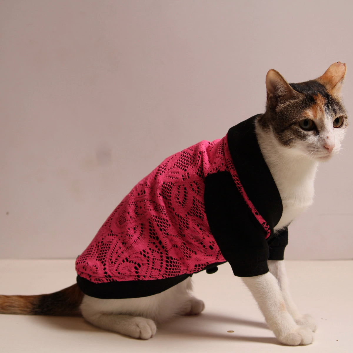 Pink Lace Tee (Cat)