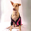 Pink Lace Tee (Dog)