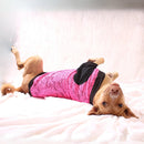 Pink Lace Tee (Dog)