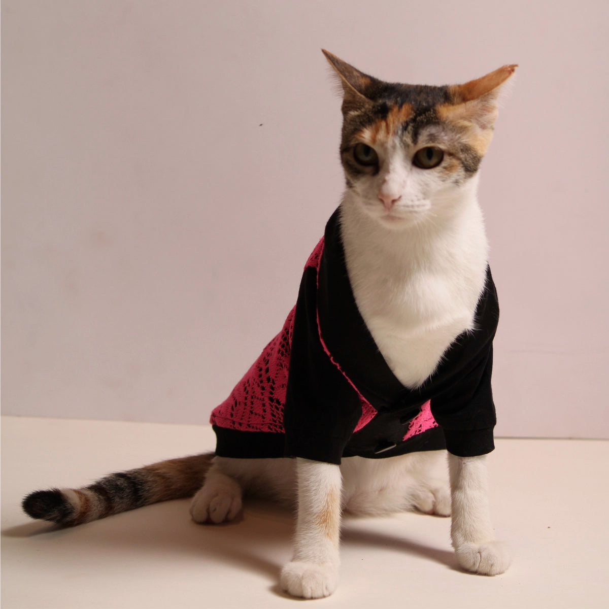Pink Lace Tee (Cat)