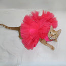 Pink Wrapper (Cat)