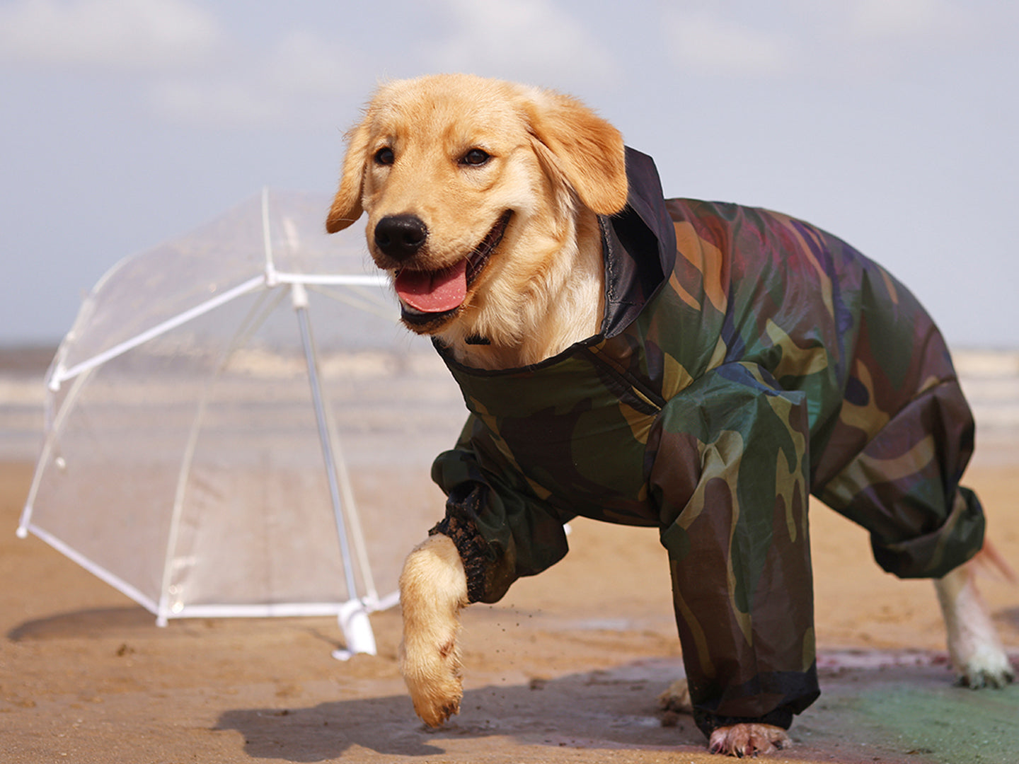 rainromper.jpg