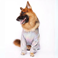 Silver Euphoria (Dog)