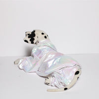 Silver Euphoria (Dog)