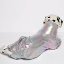 Silver Euphoria (Dog)