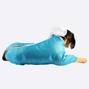 Sky Blue Rainromper