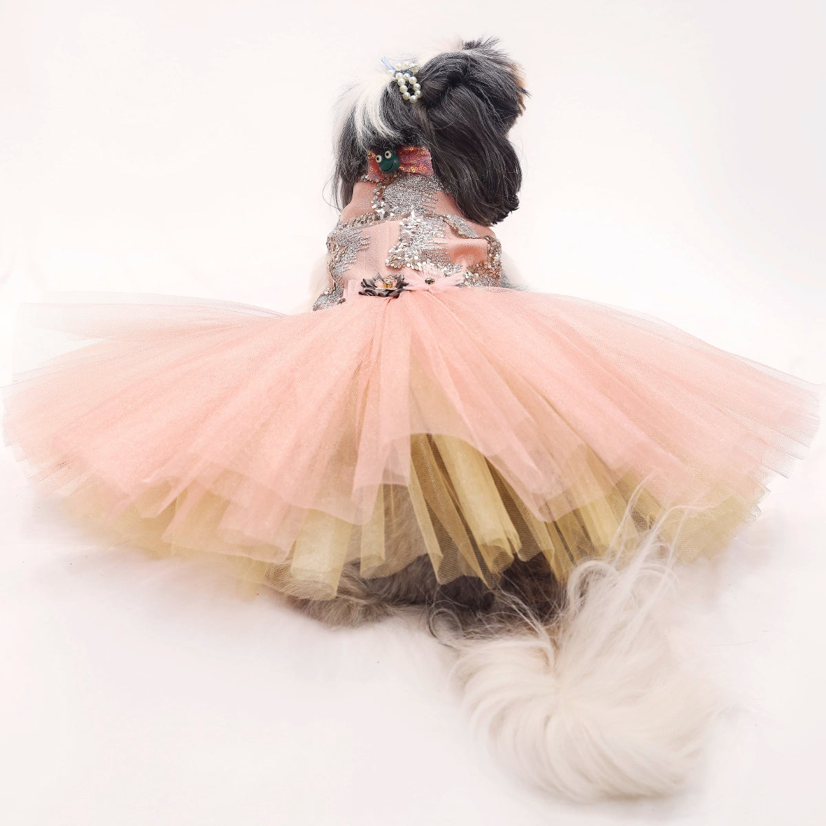 Sparkle (Dog)
