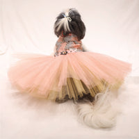 Sparkle (Dog)