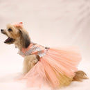 Sparkle (Dog)