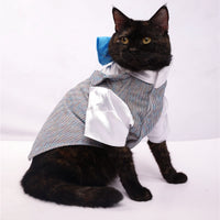 Sparkle in Sky(Cat)