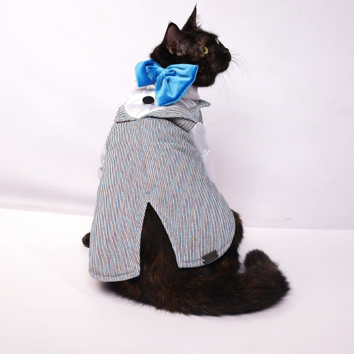 Sparkle in Sky(Cat)