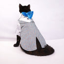 Sparkle in Sky(Cat)