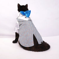 Sparkle in Sky(Cat)